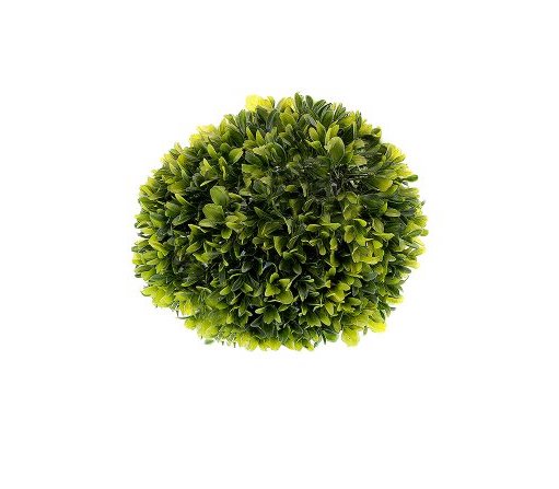 PLANTA MEDIA ESFERA 15CM LIGUST