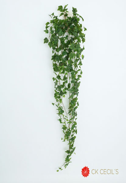 [413768] Ivy Hanging Bush X 423Lv 1.83M Green Vr52792