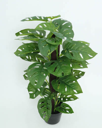 MOONSTERA NAT.TOUCH 61CM GREEN