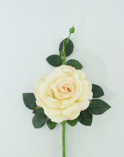 QUIANNIE ROSE 36 CM CREAM/PEACH