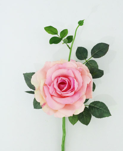 Quiannie Rose 36Cm Pink