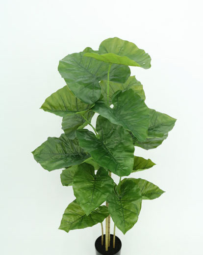 TARO PLANT NAT.TOUCH 1.37MTS GREEN