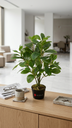 Watercress Bush Nat X8 53Cm