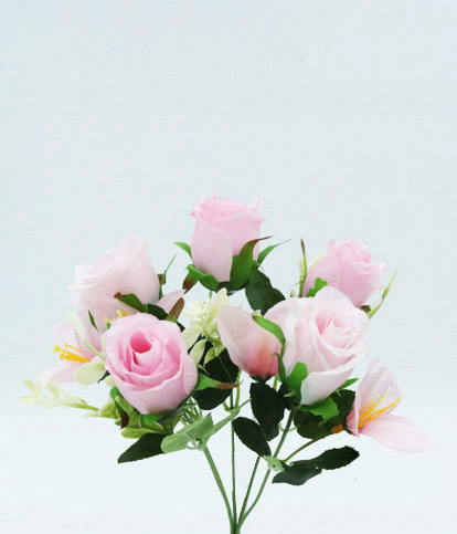 Rose Bush X 5 30 Cm. Pink