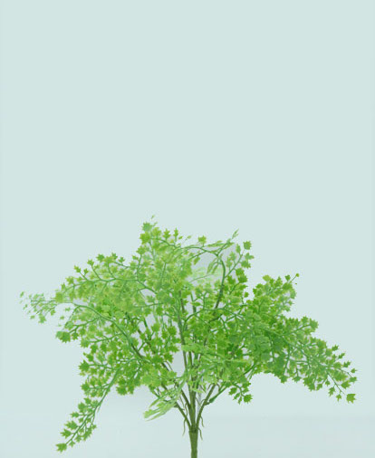 HELECHO BUSH X 7 40 CM. GREEN