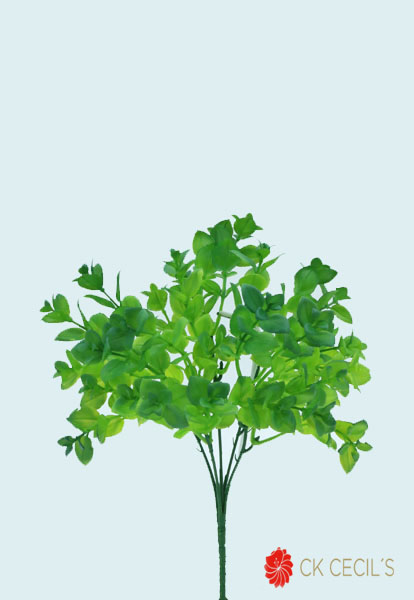 [413889] Pilea Bush 31 Cm. Dark Green