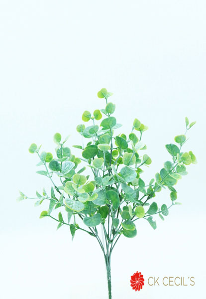 [413894] Peperomia Bush X 7 34 Cm. White Green