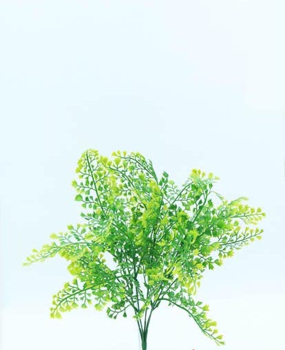 PEREJIL BUSH 40 CM. GREEN