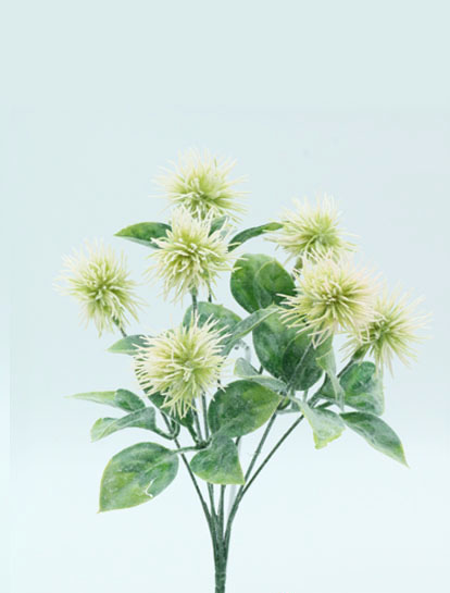 [413928] Clemantis Flowers X 7 32 Cm. Cream