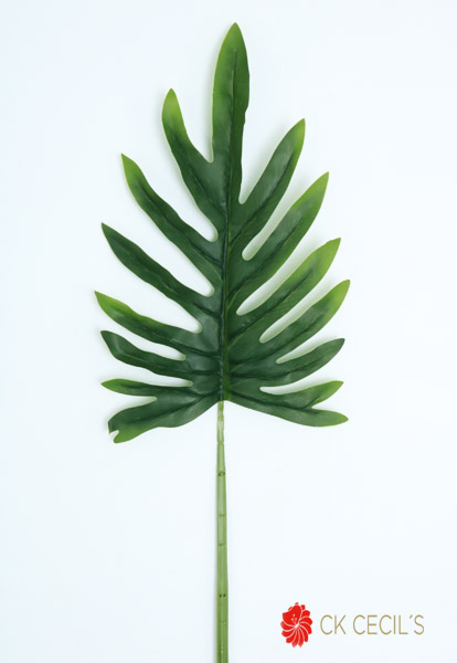 [413983] Sellum Philo Leaf Nt 1 Mt (T.T. Green)