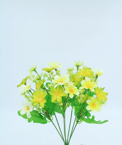 COSMOS MINI X 5 X 27CM YELLOW