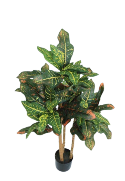 CROTON TREE X 90 LVS X 91 CM