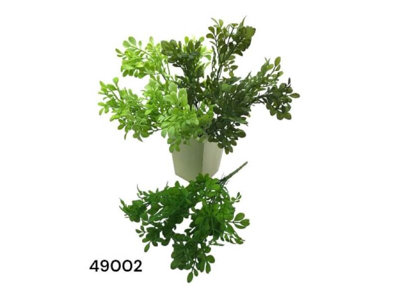 [180117] Mata De Buxus 35 Cm