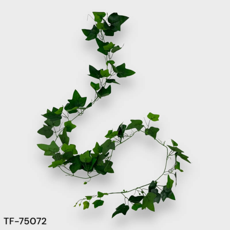 [180520] Guia De Hiedra 2.10 Cm