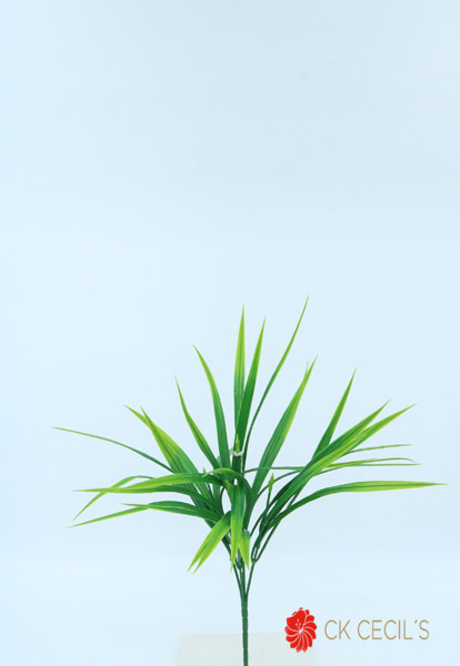 [4130124] Pasto Bush X 5 X 36 Cm. Green