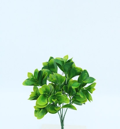 ANUBIAS BUSH X 5 X28 CM. GREEN