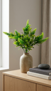Acacia Bush X 5 X 33 Cm. Green