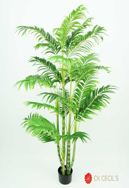 ARECA PALM TREE 840 LVS 1.52MT