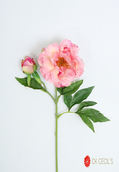 [413088] Peony Spray X 2 Fl 71 Cm (Pink)