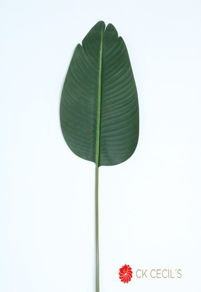 Palm Leaf 125 Cm. Green