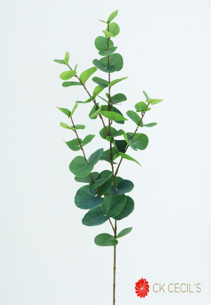 Eucalyptus Spray 92 Cm