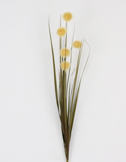 POM POM GRASS 64 CM BEIGE