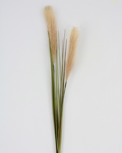 REED GRASS SPRAY 78 CM BEIGE