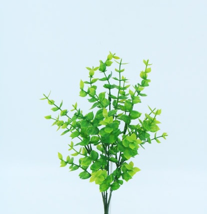 PILEA BUSH X 5 X 33CM. GREEN