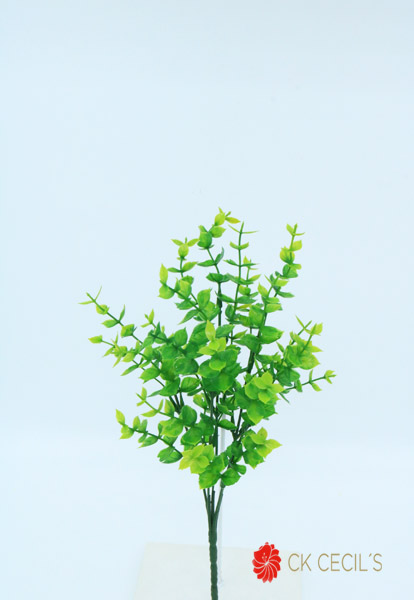 [413129] Pilea Bush X 5 X 33Cm. Green