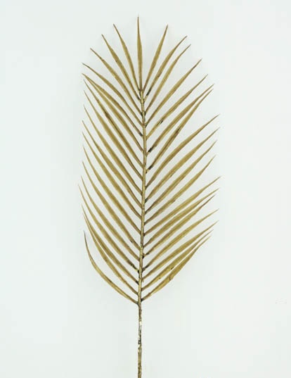 PALM LEAF 71 CM. BROWN