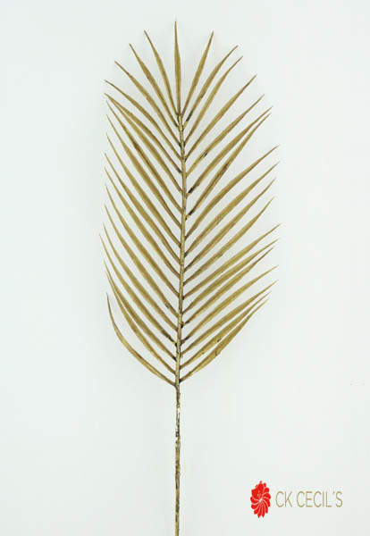 Palm Leaf 71 Cm (Brown)