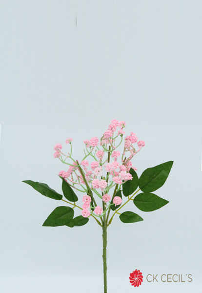Baby Bush X 12 X 38Cm Pink