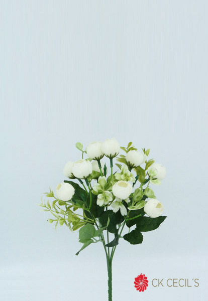 RANUNCULUS BUD X 5 X 30CM WHITE