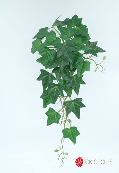 [413287] Ivy Caida X 28 Lvs X 40Cm Green