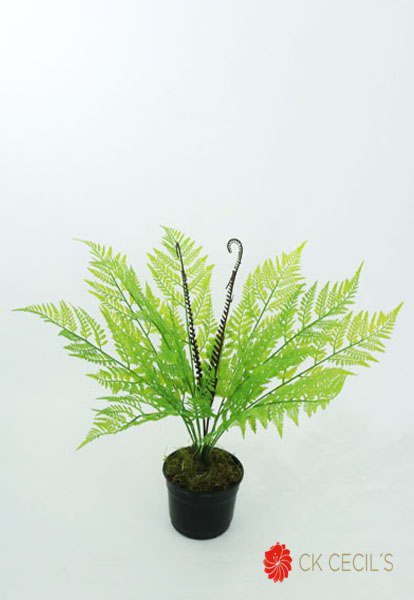 HELECHO BUSH X 9 46 CM. 