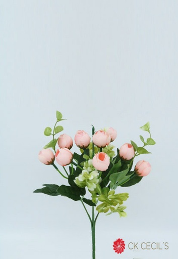 [413428] RANUNCULUS BUD X 5 X 30CM SALMON