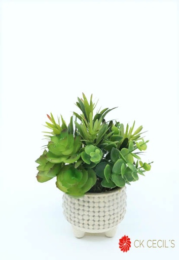 [413402] MC.CERAMICA CON PIE MIX 18X15C CREAM GREEN