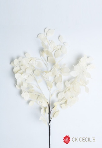 [4130235] LUNARIA SPRAY X 34 LVS X 76CM WHITE/ CREAM