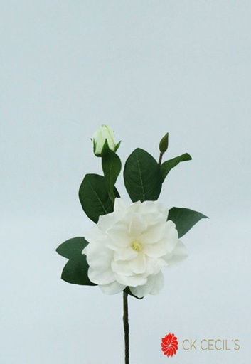 [4130240] GARDENIA PICK 32 CM. WHITE