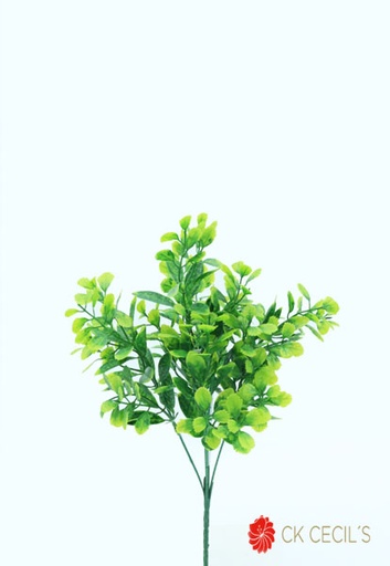 [4130306] KALANCHOE BUSH 31 CM. GREEN