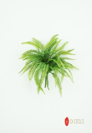 [4130383] BOSTON FERN BUSH 53 CM. / GREEN BURGUNDY VR73800