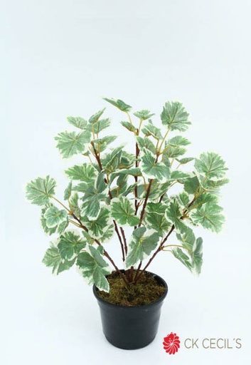 [4130385] BEGONIA BUSH X 84 LVS X 40 CM / GREEN VR82684