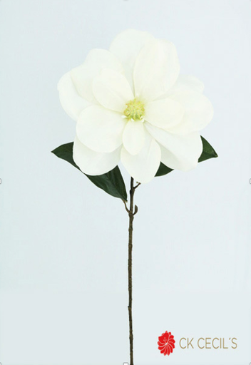[277441] MAGNOLIA SPRAY 72 CM. WHITE