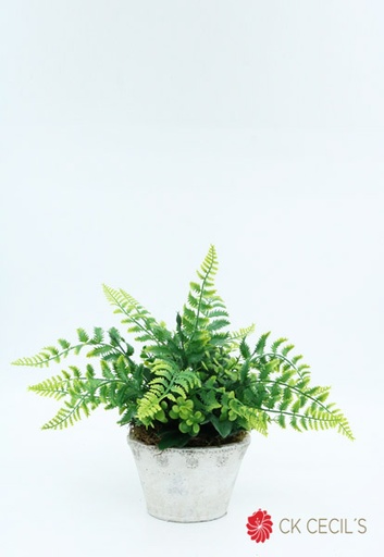 [4130061] ANT. OVAL GDE. C/HELECHO 14X30 GREEN