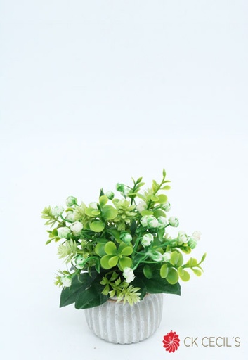 [4130062] ANTIQ. GREY MINI C/MUGUET 8X12 WHITE GREEN