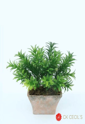 [4130065] ANT.TRAP.CHATO C/ACACIA 29X28C GREEN PINK