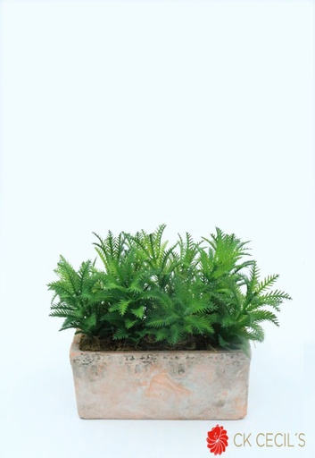 [4130066] ANT.RECTANGULAR C/ACACIA 20X15 GREEN PINK