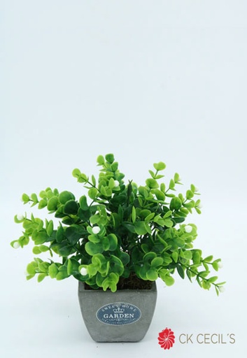 [4130068] ANT.CUAD.GREY C/CARISSA 12X18C GREY GREEN