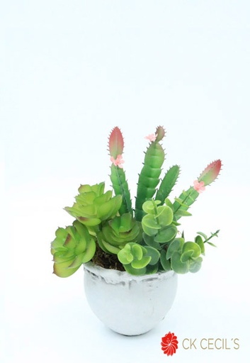 [4130071] ANT. VASIJA C/ECHEVARRIA 19X15 GREEN WHITE