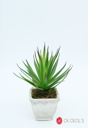 [4130072] ANTIQ.TRAPECIO  C/SENECIO 8X22 GREEN